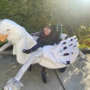 Alternative view of Harry Potter Riding the Hippogriff