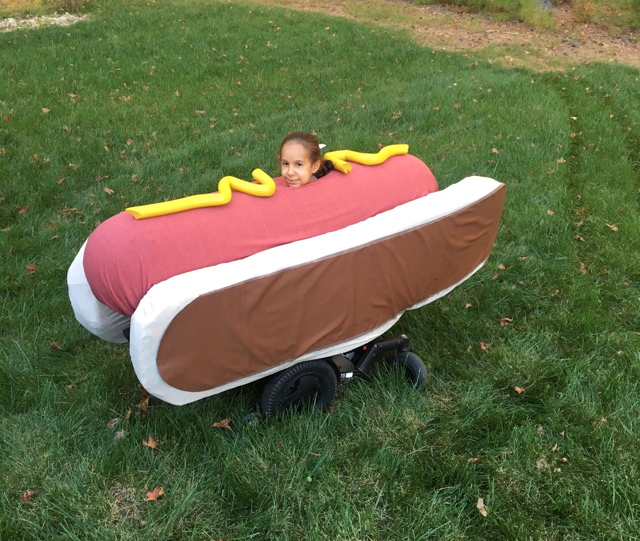 Hot Dog