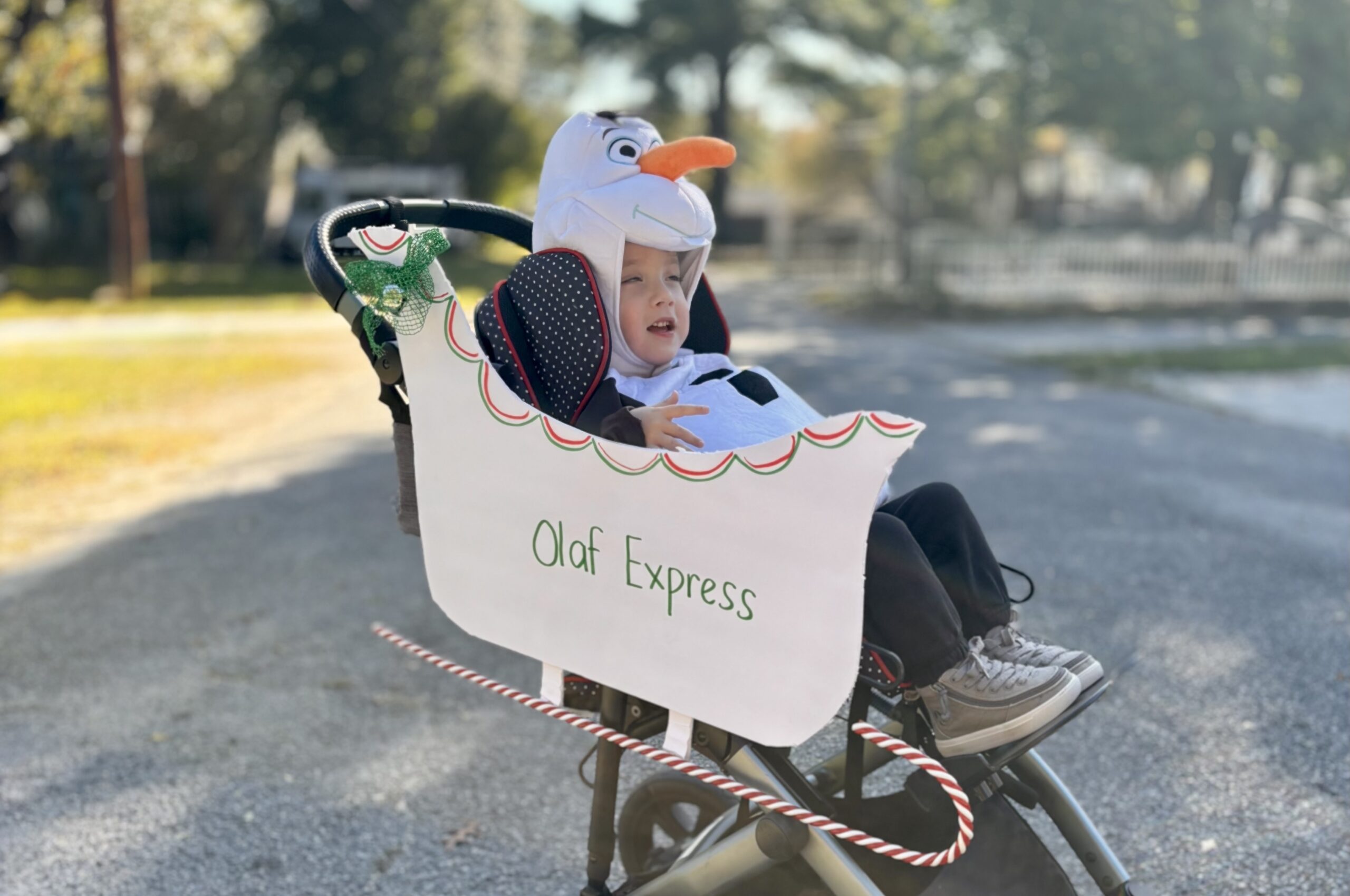 Olaf And His Sled26