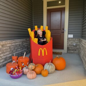 Alternative view of McDonalds French Fries26