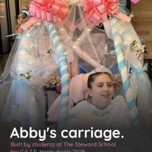 Child in a Cinderella in Carriage costume on wheels
